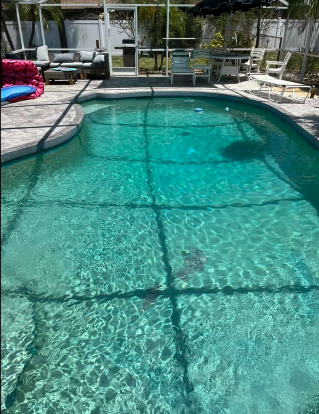 Clear pool water after Harmony’s pool care